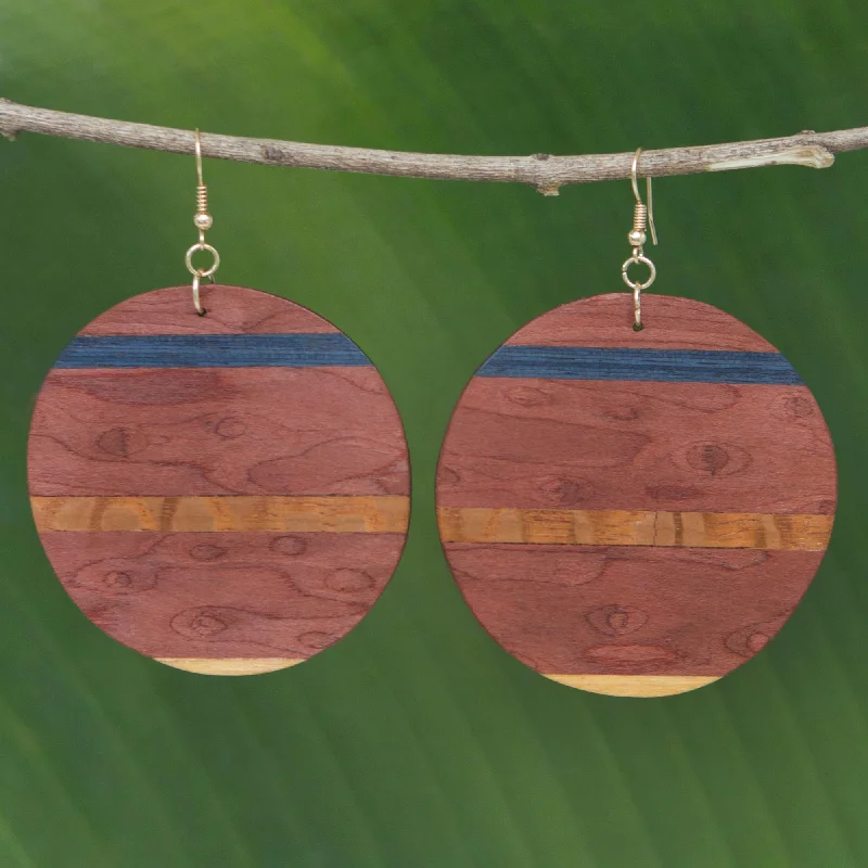 Premium Jewelry At Special Low Prices For A Limited Time Rugged Beauty Handmade Striped Wood Dangle Earrings from Brazil